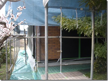 IMGP7755