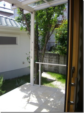 IMGP7203